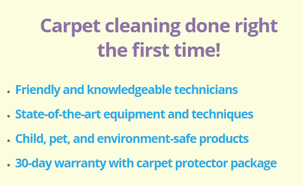 carpet cleaning top