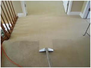 carpet hall cleaning